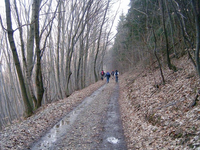 20110312 055.jpg